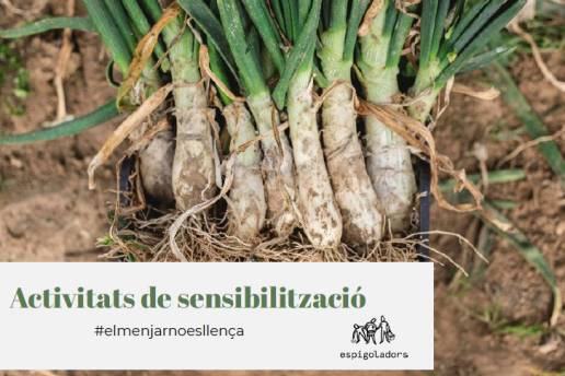 Activitats de sensibilització per a centres educatius