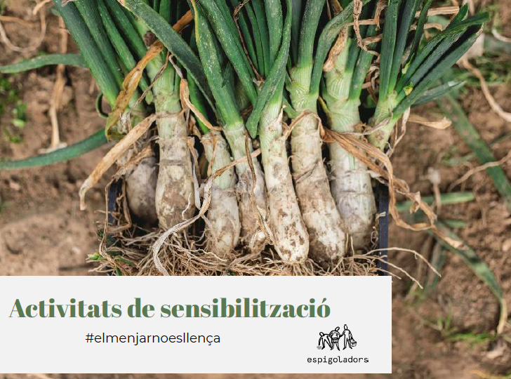 Activitats de sensibilització per a centres educatius