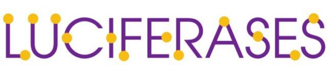 luciferases